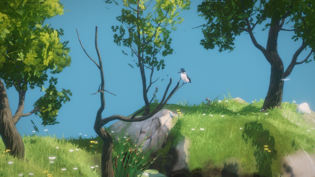A kingfisher perched above the hill, with chickadees in the grass